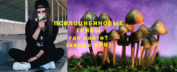 МДПВ Богданович