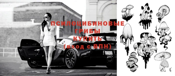 МДПВ Богданович