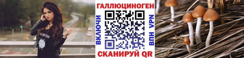 Галлюциногенные грибы Psilocybe  наркота  Ясногорск 